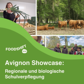 Avignon Showcase: Regionale und biologische Schulverpflegung