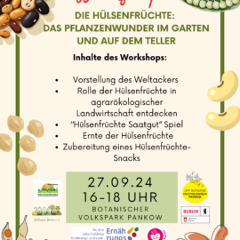 Hülsenfrüchte-Workshop am 27.09. um 16-18 Uhr im Botanischen Volkspark Pankow