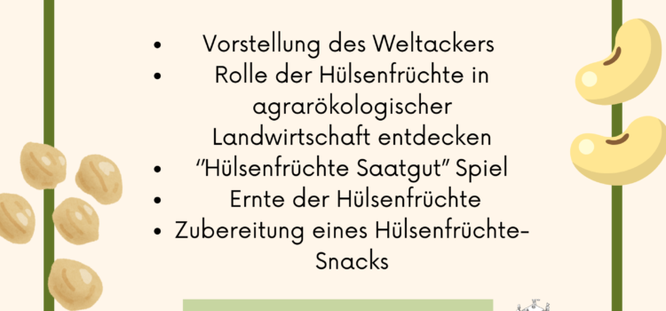 Hülsenfrüchte-Workshop am 27.09. um 16-18 Uhr im Botanischen Volkspark Pankow