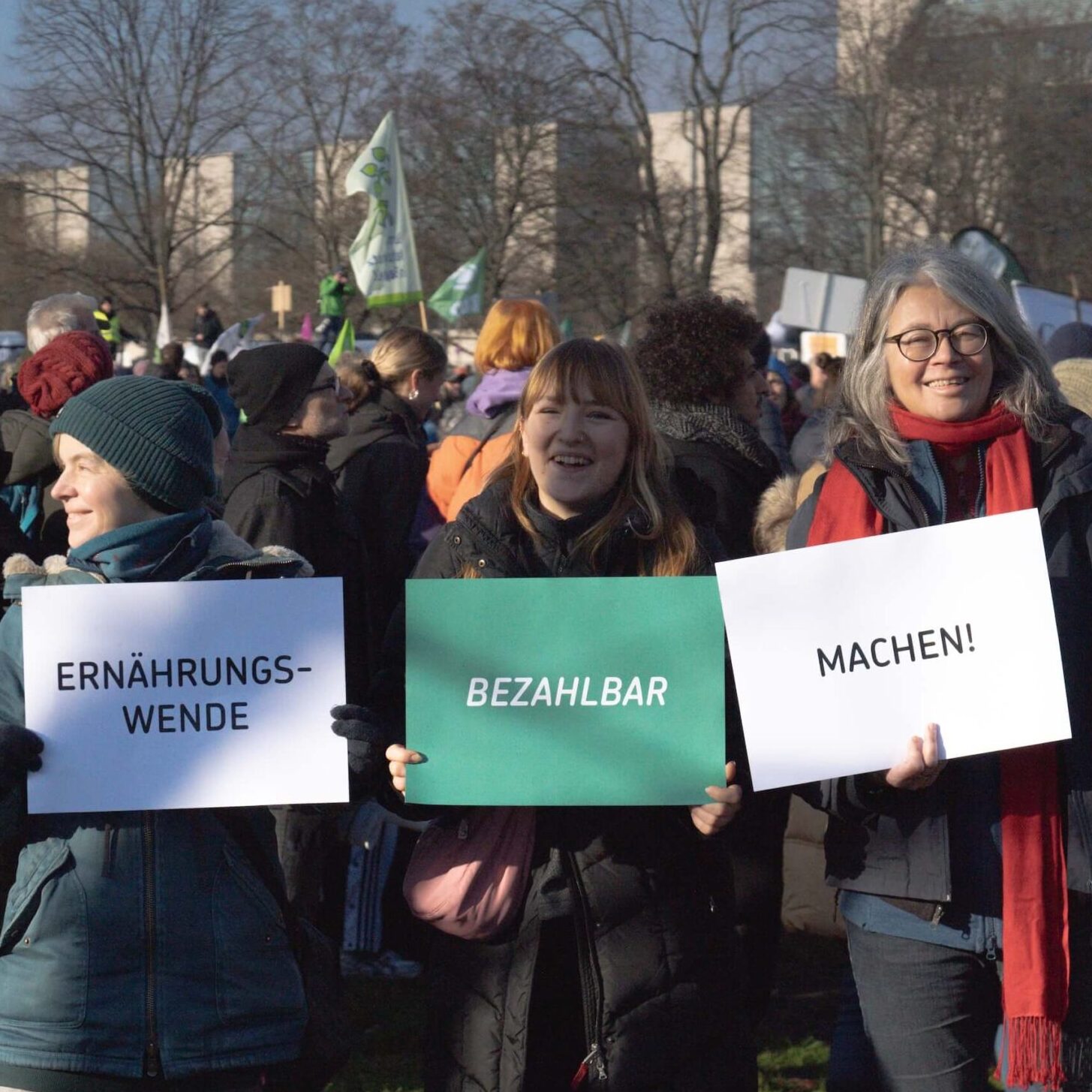 Image hover effect image