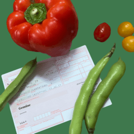 Projekt: Gemüse auf Rezept