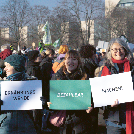 Image hover effect image