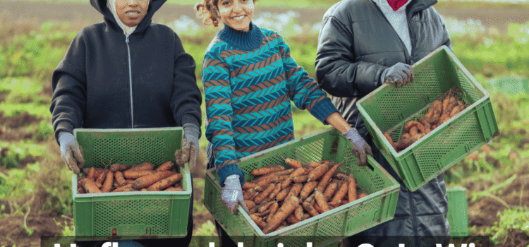 Hofbesuch bei der SoLaWi Hofbesuch bei der SoLaWi