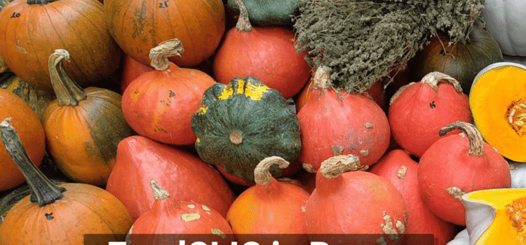 FoodCLIC in Brașov: Gemeinsame Herausforderungen FoodCLIC in Brașov: Gemeinsame Herausforderungen