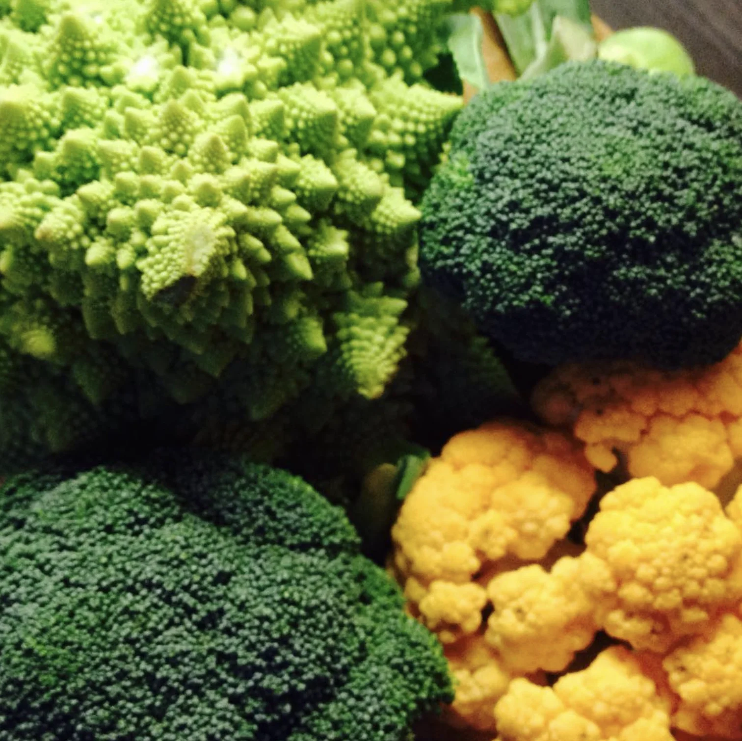 Image hover effect image