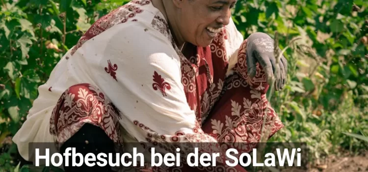 „Gemüse auf Rezept“ zu Gast bei der SoLaWi Ackerwesen